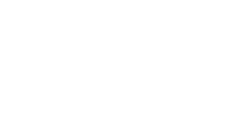 firma guillermo pv